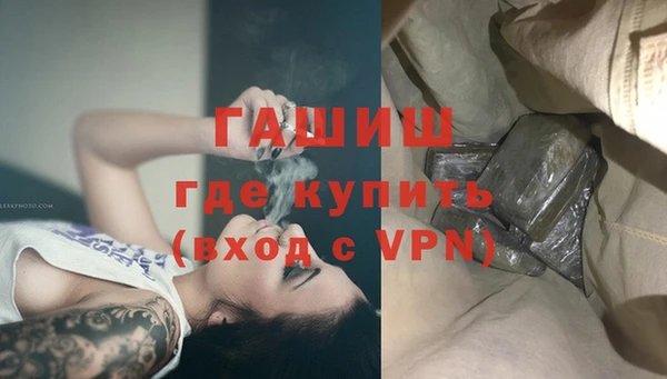 дмт Ельня