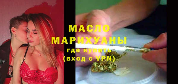 дмт Ельня