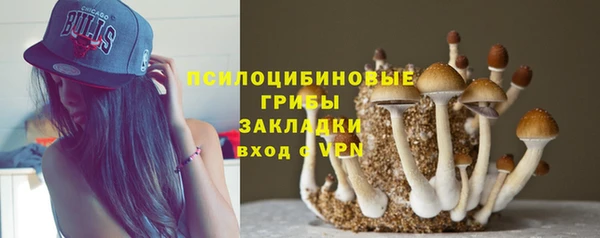 мет Елабуга
