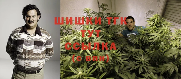 дмт Ельня
