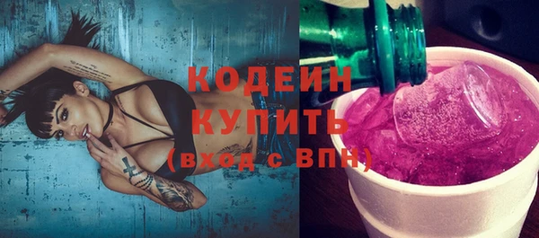 мет Елабуга