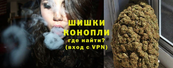мет Елабуга