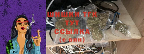 дмт Ельня