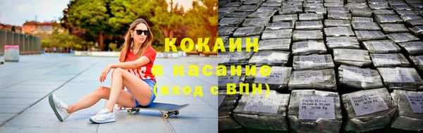 дмт Ельня