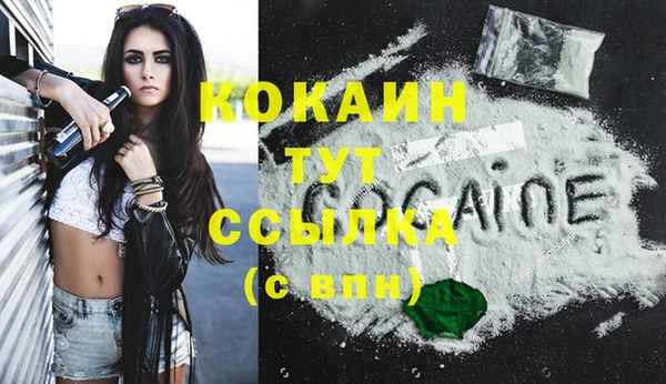 дмт Ельня