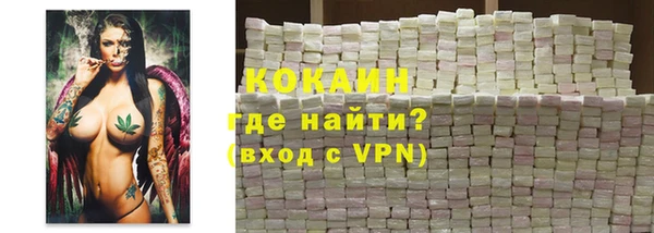дмт Ельня