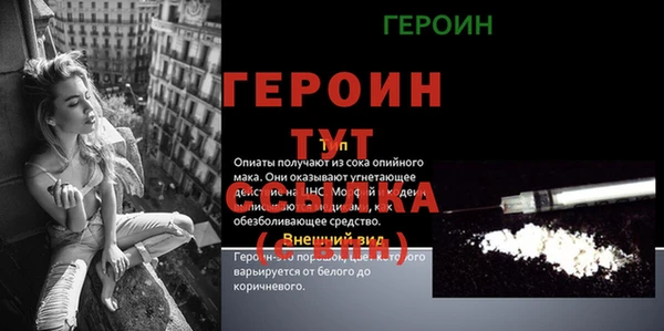 дмт Ельня